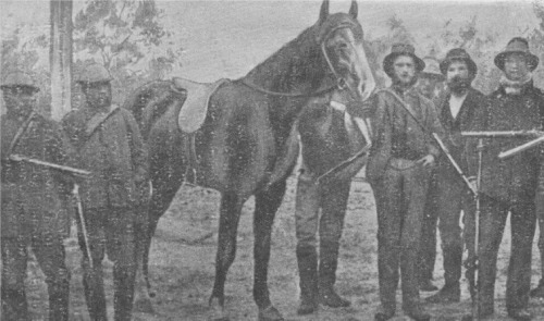 Joe Byrne’s horse surrounded by police and blacktrackers after the Siege of Glenrowan. This horse belonged to Mr. Michael Ryan, of Dookie. When Mr. Ryan was reminded by a police sergeant that if the Kellys knew that he had such a fine horse they (the Kellys) would take him, Mr. Ryan replied, “And I wouldn’t begrudge it to them.”