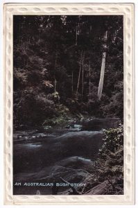 Postcard, with an Australian bush scene