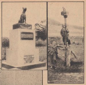Dog on the Tucker Box monuments, outside of Gundagai (Pix, 29 January 1938)