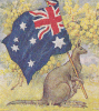 Australian flag, Kangaroo, Wattle, 100h