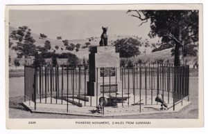 Postcard, with a photo of a photo of the statue of the dog on the tucker box (Gundagai).