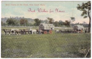 A Christmas postcard, with a photo of two teams of horses pulling drays.