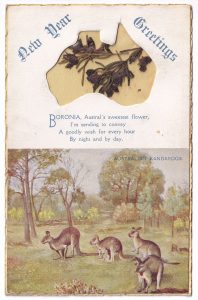 An Australian New Year postcard
