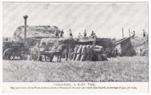 A postcard, with a photo of some men working with haystacks on a farm (circa 1906-1908)