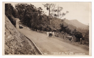 Postcard, with a photo of a mountain road (Bulli Pass, NSW) (early 20th Century)