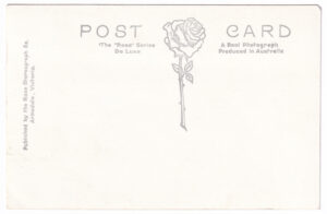 Australian postcard, Rose Series, circa 1950-1954